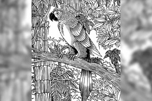 Kiek gyvūnų surasite per minutę? Tai rodo, ar gerai veikia jūsų smegenys