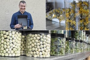 Pakalniškių bendruomenė stebina išradingumu – šaltyje džiovina saldainius, ketina tam prisiauginti ir grybų