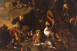 Vilniaus paveikslų galerijoje – 500 metų trukę meniniai bandymai įamžinti jusles ir jausmus