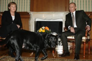 V. Putinas po 17 metų atsiprašė A. Merkel už incidentą su šunimi