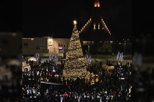 Akmenėje ypatingai suspindo kalėdinė eglė: ją puošia karūnuota Žalioji medinė gyvatė