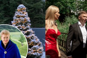 Daugiausia dėmesio susižėrė Dalios Grybauskaitės eglutė namų kieme ir Selo išpažintis apie meilę