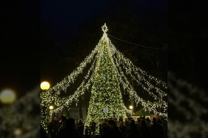 Švenčionys įžiebė savo Kalėdų eglę: žaliaskarės akcentas – šventinė skraistė