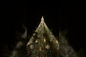 Išpuošta su meile: Visaginas įžiebė savo gražuolę žaliaskarę