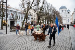 Kaune – keturkojų eitynės: paminėjo draugų dieną