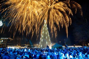 Druskininkuose sužibusi eglė ištirpdė širdis, ji – tikra Kalėdų karalienė