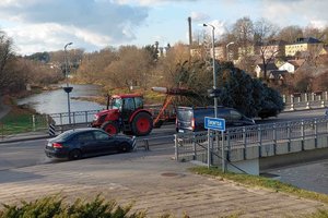 Anykštėnai lieja apmaudą dėl Kalėdų eglės miestui nespėjus jos net papuošti: „Esam stipriai nusivylę“