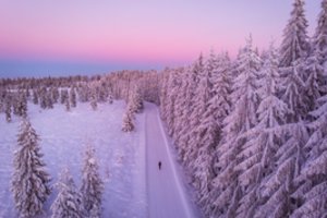 „Žinovų klubo“ testas. Ar žinote visas šias lietuviškas dainas apie žiemą?