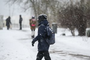 Sinoptikai skelbia, kur ir kada vėl sulauksime sniego: žemiau kris ir temperatūra