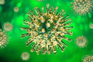 Nauja ataskaita pateikė labiausiai tikėtiną COVID-19 viruso kilmės versiją