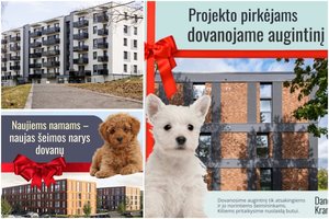 Perkantiems butą – augintinis dovanų: įstatymu draudžiama NT vystytojų akcija šokiravo gyvūnų mylėtojus
