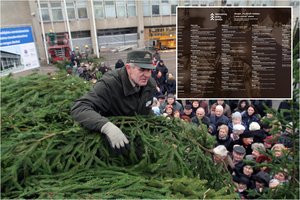 Skelbia, kur ir kada šiemet miškininkai dalins eglišakius