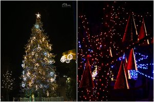 Šiaurės Lietuvos širdyje – magiška, miesto istoriją menanti natūrali Kalėdų žaliaskarė: perdavė svarbią žinią