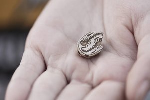 Dvylikametės sėkmė: aptiko nepaprastą istorinį radinį