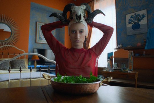 Naujausias Algimanto Puipos filmas kviečia į kino salę viešajame transporte   