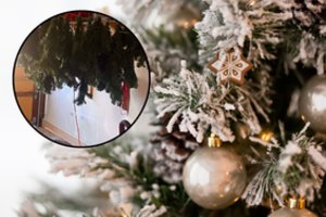 Moteris pirmą kartą nuplovė savo dirbtinę Kalėdų eglutę: to, ką išvydo, nepamirš visą gyvenimą