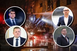 Dėl palaikymo Sakartvelui – trūkusi naujosios koalicijos vienybė: kas iš tiesų įvyko?