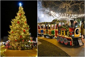 Pasigrožėkite: Pakruojo natūrali žaliaskarė sužibo gražiausiomis spalvomis 