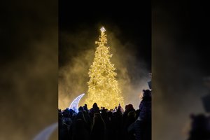 Kaip ryškiai nušvito Molėtų žaliaskarė: šalia eglės nukritęs Mėnulis kvietė pasiklausyti šventinių melodijų