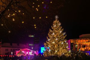  Anykščių miesto širdyje suspindo romantika dvelkianti gražuolė su šviečiančiais paukšteliais