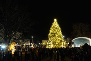 Iškilmingai įžiebta Vilkaviškio natūrali žaliaskarė: pasigrožėkite – Kalėdomis pasipuošė visas miestas