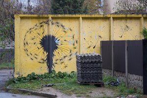 Pienių pūkais išpuošė niūrius miesto garažus: praeivių žvilgsnius traukia viena detalė