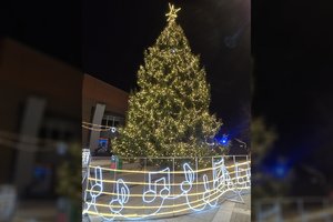 Plungės Kalėdų eglutė sužibo tūkstančiais lempučių