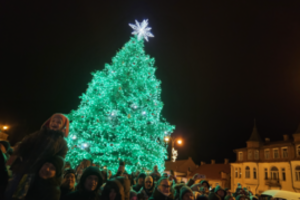 Įžiebta Rokiškio žaliaskarė primena tikrą miško pasaką