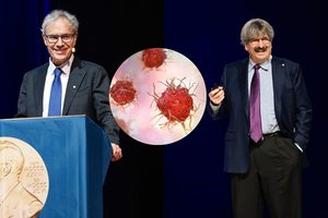 Nobelių ceremonijos išvakarės: kokias duris į vėžio gydymą atvėrė šių metų laureatai?