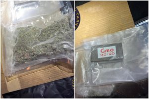 Kalėjimų tarnybos pareigūnai kartu su pasieniečiais sučiupo kanapių bei hašišo siuntą į Lietuvą gabenusį vyrą