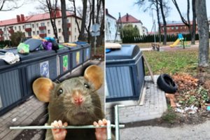 Prie daugiabučio konteinerių rikiuojasi žiurkių armijos, o visai šalia žaidžia vaikai: valdininkai tai tiesiog stebi