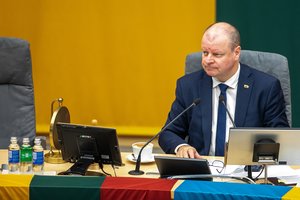 S. Skvernelis: tikiuosi, kad Vyriausybės ir Seimo darbotvarkėje bus klausimai, susiję su žmogaus teisių užtikrinimu
