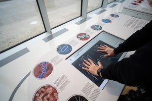 Paskelbus apie unikalaus muziejaus atidarymą kaip mat pradėjo graibstyti bilietus: šeimoms tai – nepigus malonumas