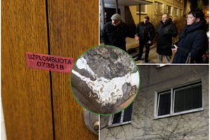 Po kaimyno mirties Vilniaus daugiabutyje – absurdiškas košmaras: butus užplūdo kirmėlės, skverbiasi smarvė