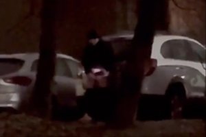 Kaune moteris išvydo pribloškiantį vaizdą: Dainavoje vyras viešai save tenkino