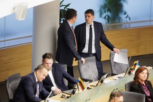 Po A. Širinskienės kritikos prabilo kiti „aušriečiai“: ar tikrai su jais nesitariama?