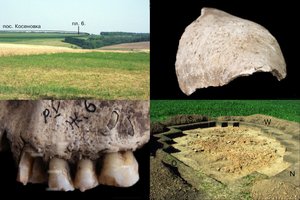 Mįslingi kraupaus smurto pėdsakai akmens amžiaus Ukrainoje – mokslininkai iki šiol negali paaiškinti, kas nutiko