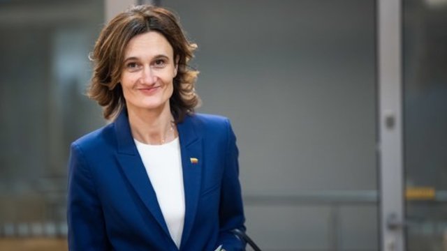 V. Čmilytė-Nielsen apie A. Bagdono narystės sustabdymą: teisiniai procesai tęsiasi