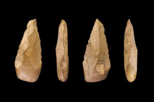 Mokslininkai: prieš 900 000 metų nutiko reikšmingas technologijų šuolis