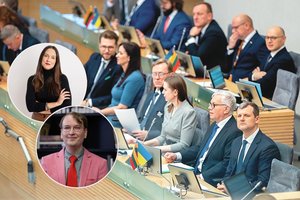 Naujoje Vyriausybėje – tik 4 moterys: ekspertai kalba apie siunčiamą žinią ir tamsiąją tokių postų pusę