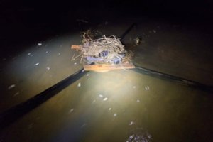 „Oro paštui“ buksuojant, kontrabandininkai prisimena senąjį būdą – cigarečių plukdymą Nemunu