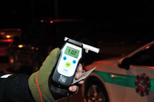 Prie krovininio mikroautobuso vairo pasieniečiai sučiupo girtą ir beteisį jonaviškį