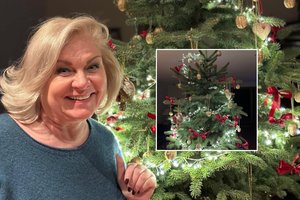 Editos Mildažytės namuose – puode papuošta kalėdinė eglė: pamatykite rezultatą