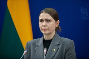 D. Šakalienė: diskutuoti apie pasitraukimą iš priešpėstines minas draudžiančios Otavos konvencijos yra prasminga