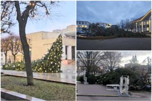Nereikėjo nė Grinčo: neatlaikiusios vėjo viena po kitos griuvo miestų kalėdinės eglutės
