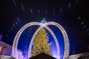 Vilniaus žaliaskarės trūkumą pastebėjo tik akyliausi: ar pavyko ir jums?