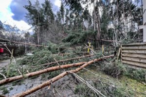 Vėjas pasidarbavo be gailesčio: ugniagesių pagalbos per parą prireikė daugiau kaip 200 kartų