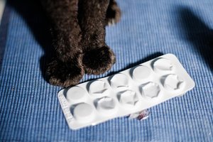 Nebereikalingų vaistų surinkimas Lietuvoje atskleidė šokiruojantį faktą