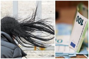 „Lietuvos draudimas“ iki antradienio ryto gavo 300 kreipimųsi dėl vėjo padarytos žalos: gyventojų nuostoliai jau siekia šimtus tūkstančių eurų