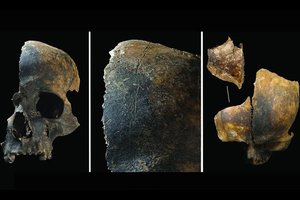 Šiurpą keliantys radiniai: aptikti kaulai atskleidžia „precedento neturintį“ žiaurumą